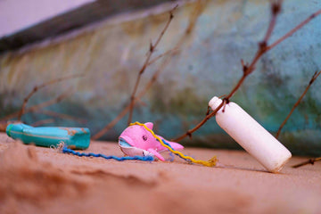 Pillole di mare 3